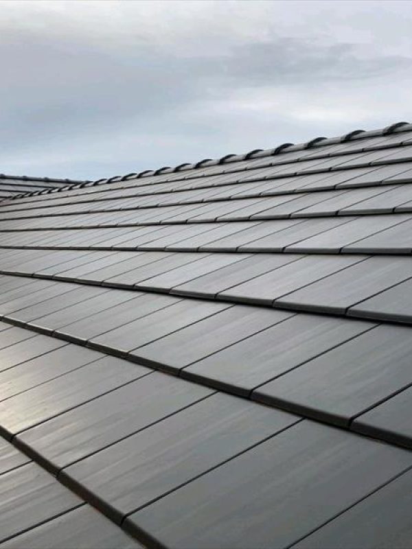 New-roof-3.jpeg