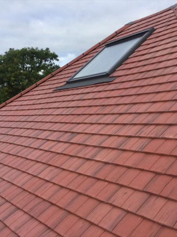 New-roof-4.jpeg